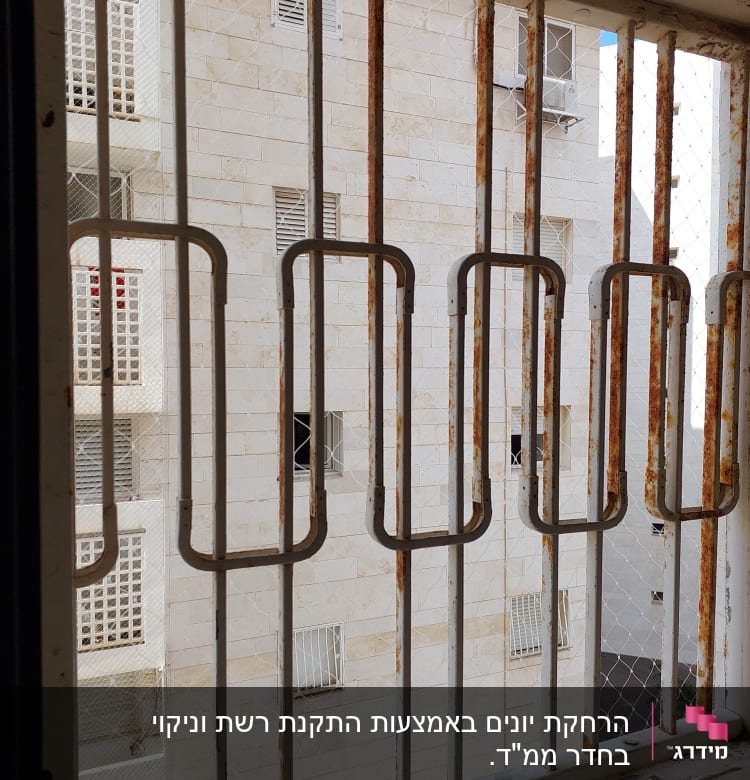 סורגים חלודים עם רשת למניעת כניסת יונים